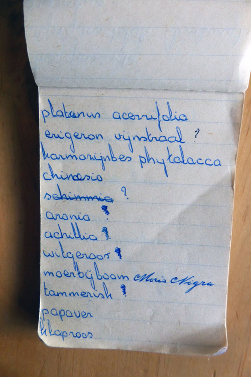 planten soorten le roy tuin ecokathedraal 12