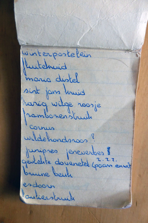 planten soorten le roy tuin ecokathedraal 14