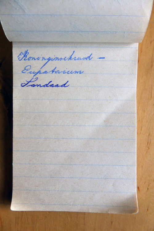 planten soorten le roy tuin ecokathedraal 16