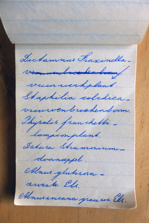 planten soorten le roy tuin ecokathedraal 18