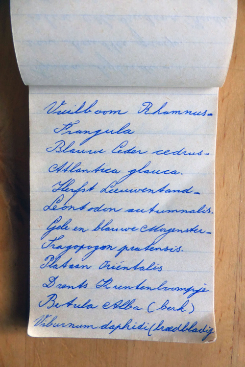 planten soorten le roy tuin ecokathedraal 19