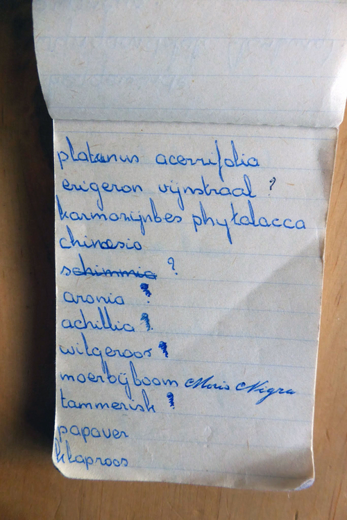 planten soorten le roy tuin ecokathedraal 20